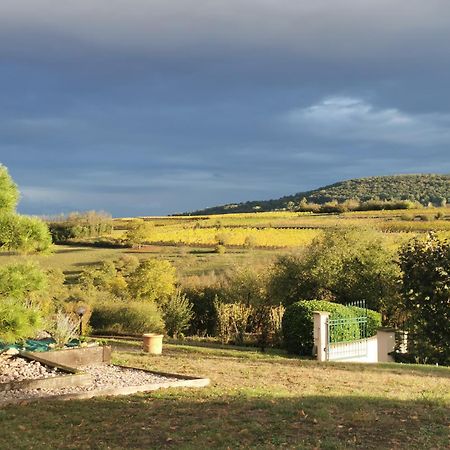 Studio Spacieux, Route Des Vins Rosheim Dış mekan fotoğraf